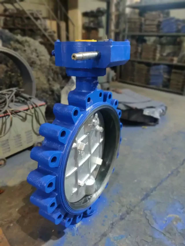 Lug Type Butterfly Valve