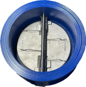 dual plate check valve