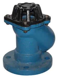Diagram showing how a ball type foot valve flanged end works