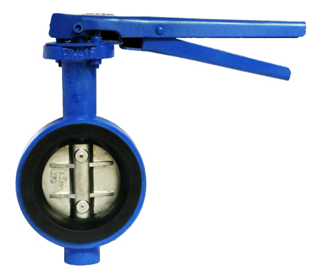 Flanged butterfly valve cast iron stainless steel India